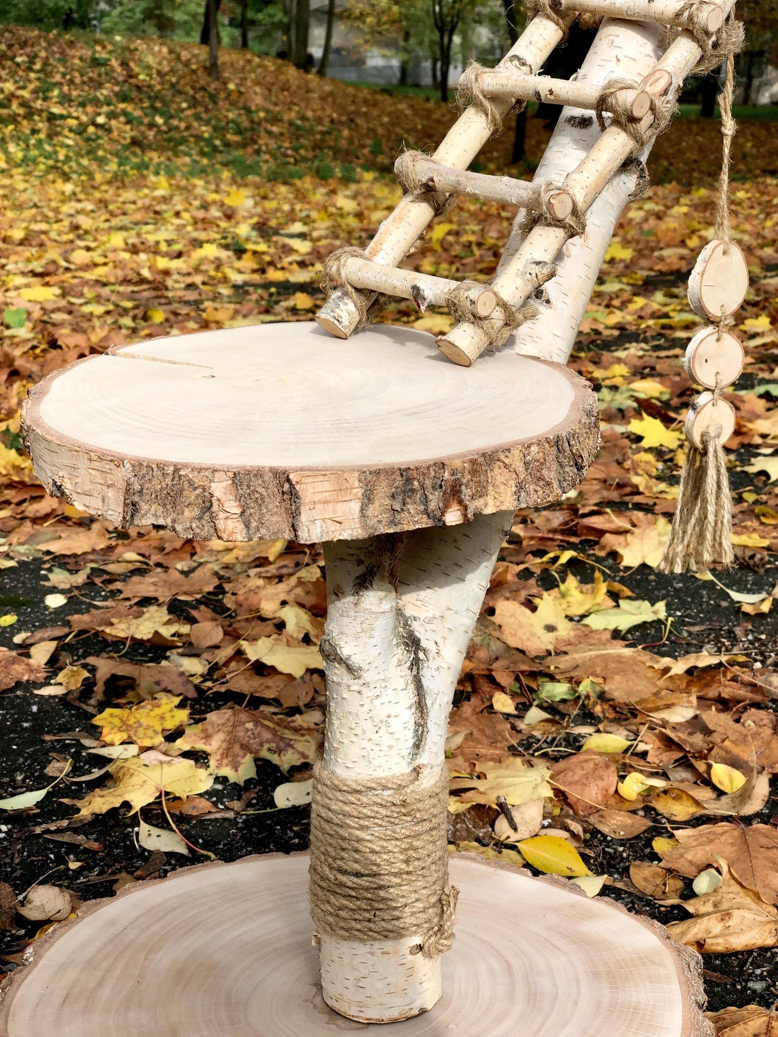 Birch Wood Cat Tree